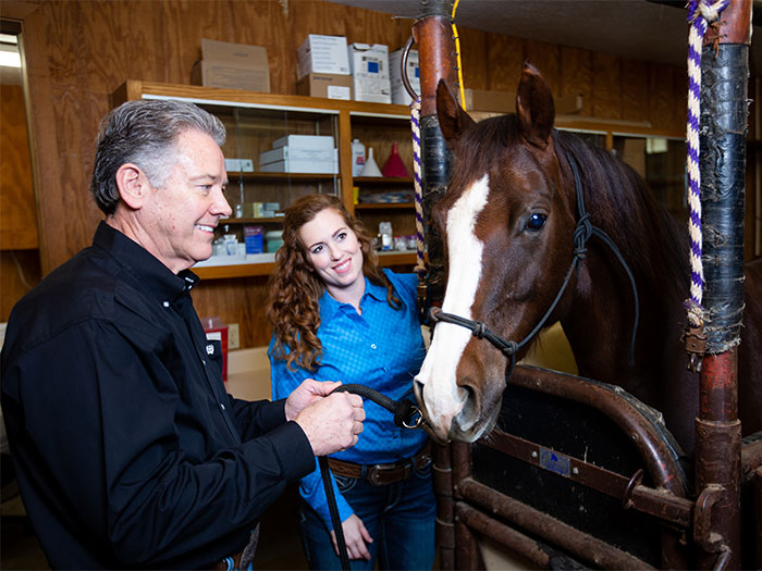 Dr. Stan Snodgrass and Dr. Hannah Thomas attending to a horse.