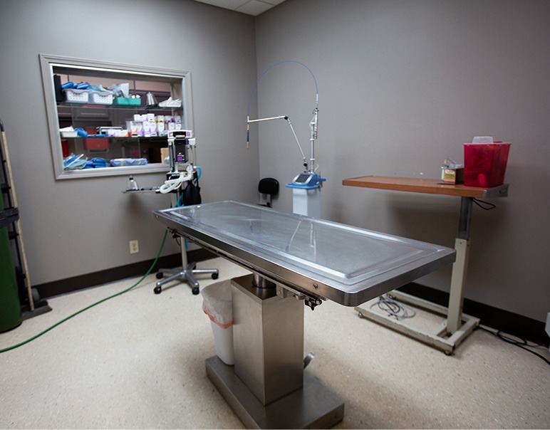 Small Animal Surgery Snodgrass Veterinary Medical Center