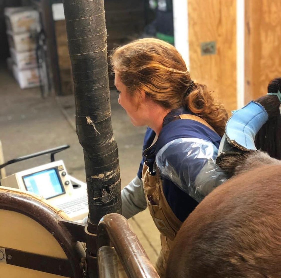 Equine Breeding Services Snodgrass Veterinary Medical Center