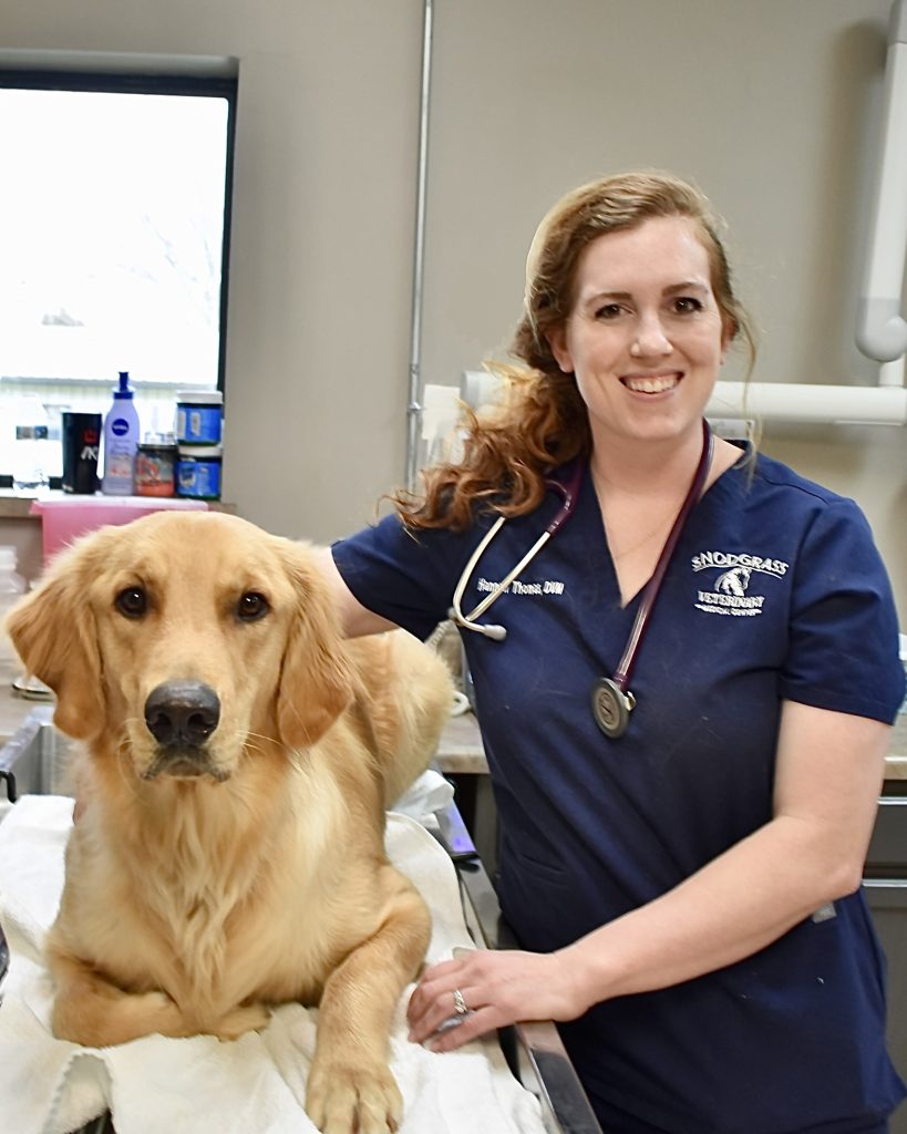 Dr. Hannah Thomas and a Golden Retriver getting a checkup