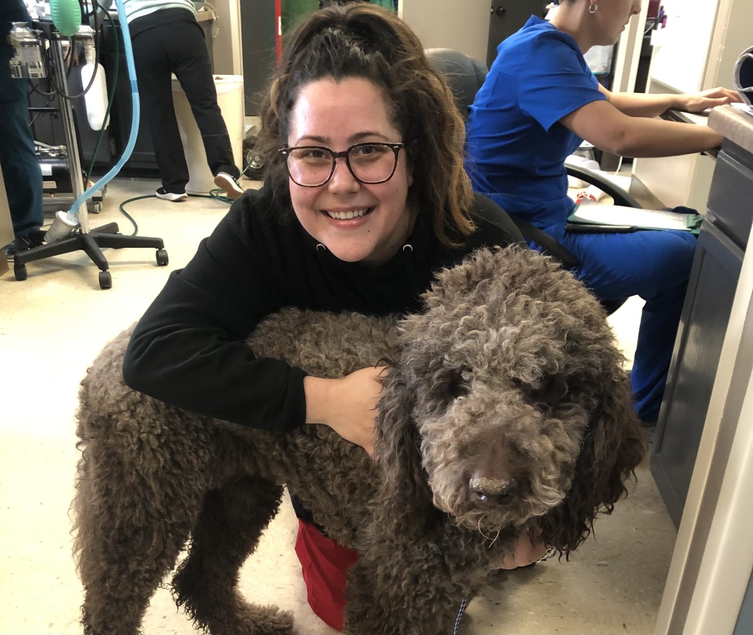 Understanding & Treating Addison's Disease Snodgrass Veterinary