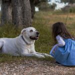 Helping Children Grieve The Loss Of A Pet