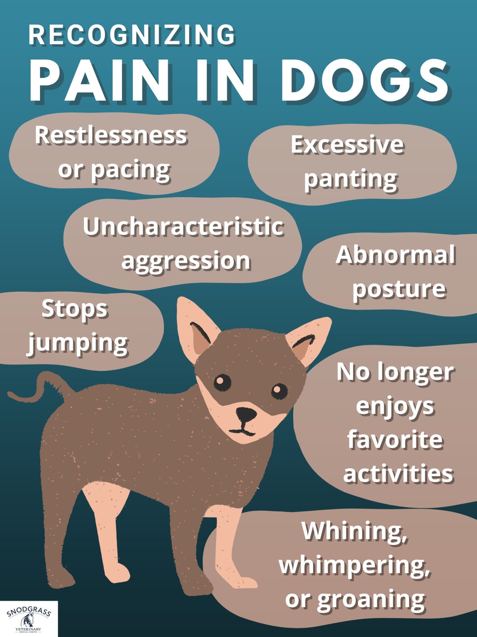 Recognizing Pain In Dogs - Snodgrass Veterinary Medical Center