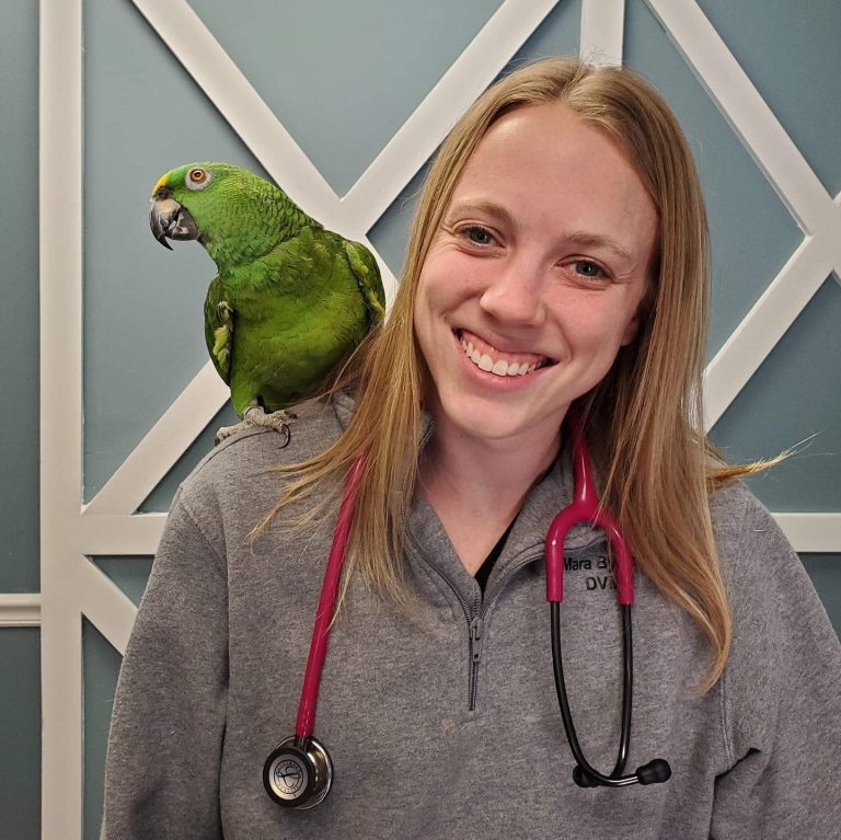 Exotic Animal Care Snodgrass Veterinary Medical Center