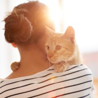 Understanding When & Why Cats Have Petting Aggression