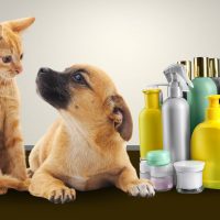 Should You Share Personal Care Products With Your Pet?