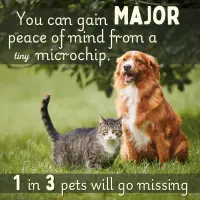 Pet Microchips Pet Microchips